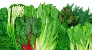Бомба от витамини: 5 пролетни зеленолистни зеленчуци, които трябва да консумирате