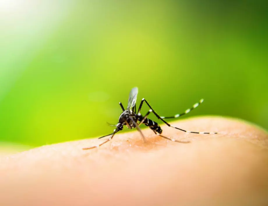 Нещата, които привличат комарите и дори не подозирате за тях 