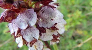 Седмична прогноза за времето (14 - 20 април)