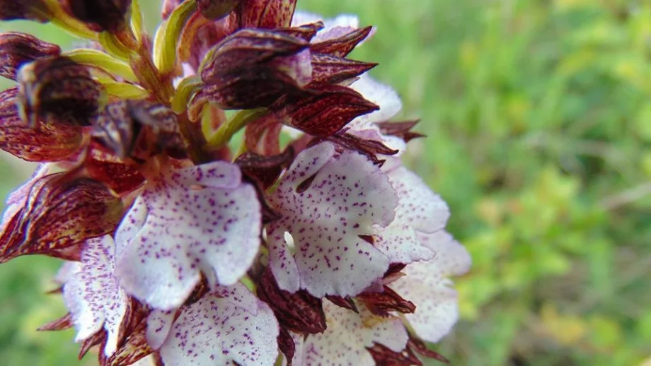 Седмична прогноза за времето (14 - 20 април)