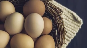 Цената на яйцата стигна 27 стотинки