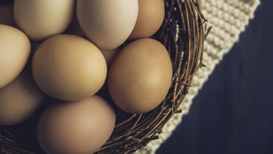 Цената на яйцата стигна 27 стотинки