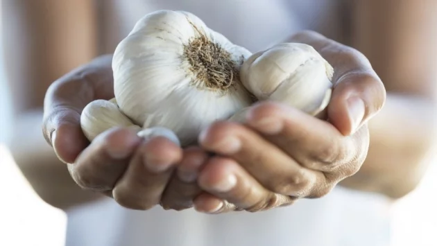 8 ползи от редовното ядене на чесън