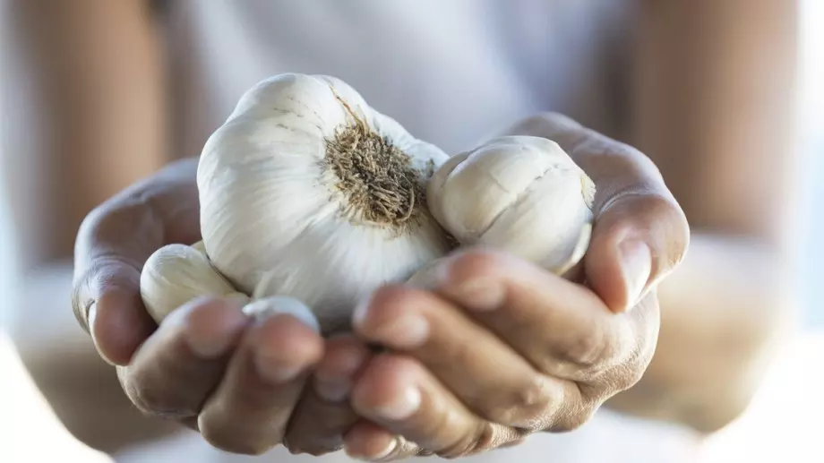 Септемврийско садене на чесън: Какво, къде и как