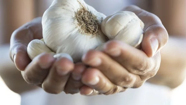 Храни срещу лош късмет