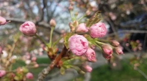 Какво време ни очаква през предстоящия празничен уикенд