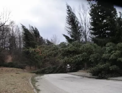В половин България има предупреждение за опасен вятър