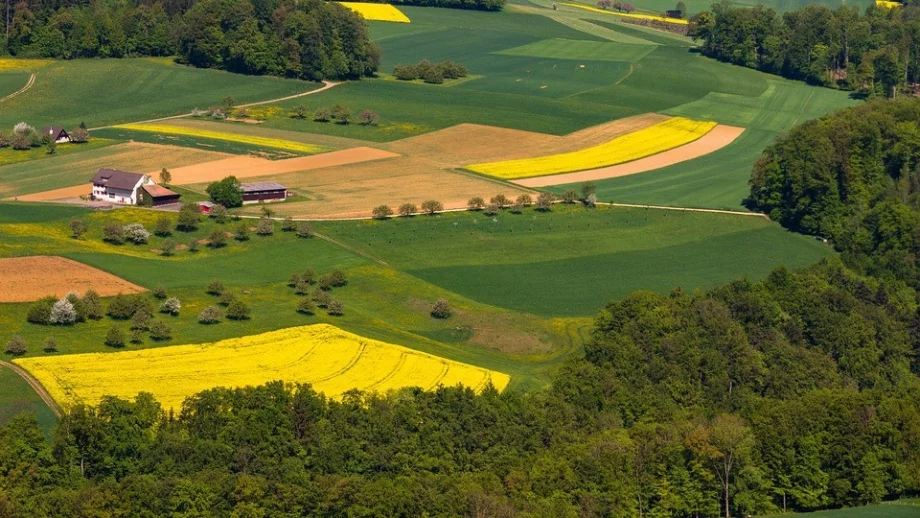 ЕС: Търговските преговори със САЩ няма да включват земеделието 