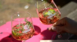 Динена свежест в чаша