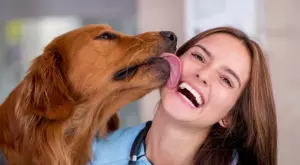 Домашните любимци лекуват тялото и душата ни