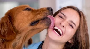 Ето какво чака всяка зодия на 19 май