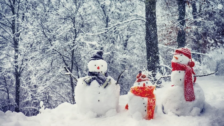 Първият сняг у нас пада до дни 