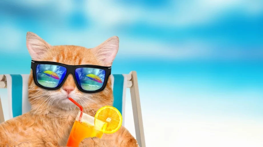 Настъпва астрономическото лято 