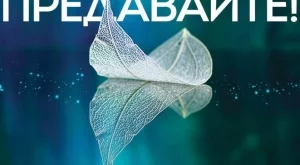 Книга за хората, които просто отказват да се предадат