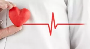 Интересни факти за сърцето