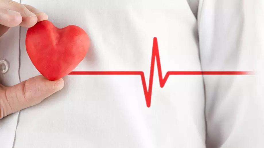 Интересни факти за сърцето
