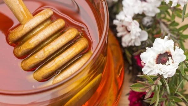 Всичко, което трябва да знаете за меда от манука