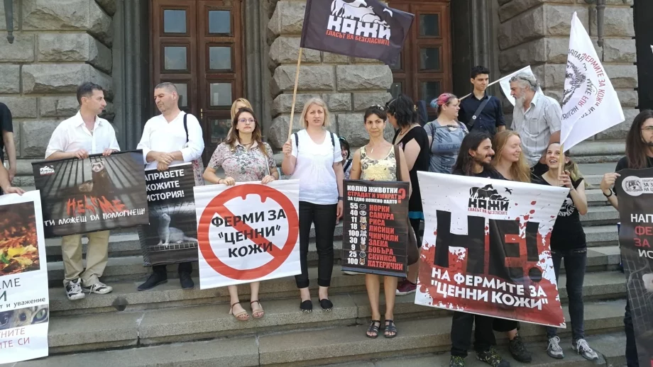 Внесоха в НС над 33 000 подписа срещу убиването на животни заради кожата им