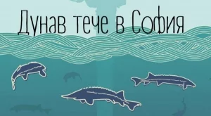 Дунав тече в София чрез 3D Mapping 