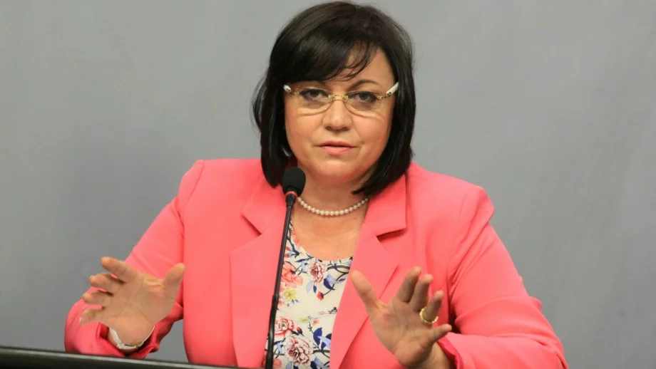 Не сме се съгласявали да продължи евтаназията на животни, обяви Нинова