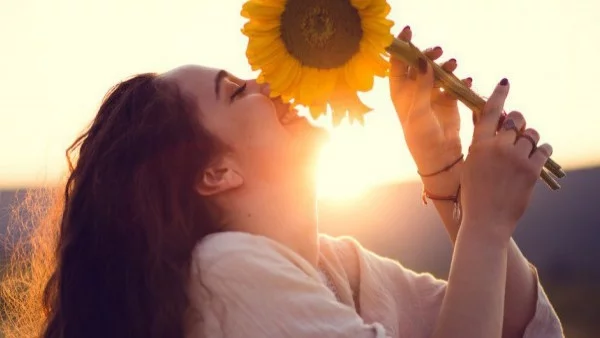 Тези 4 закона могат да променят живота ви