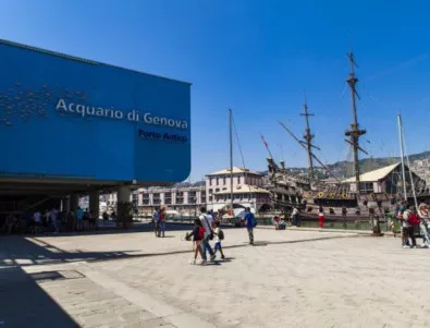 Аквариумът на Генуа - най-големият в Италия и вторият по големина в Европа