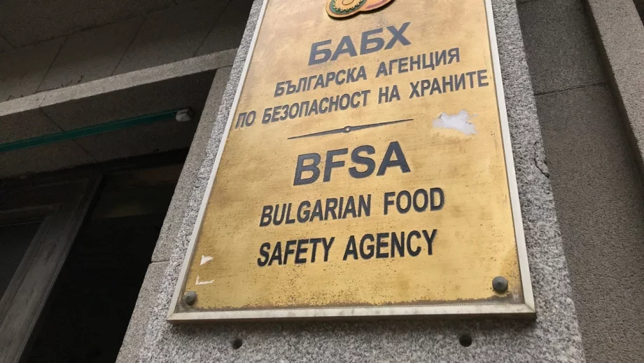 Ваксинират дивите животни срещу бяс