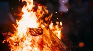 8 съвета как да се предпазим от пожар през лятото