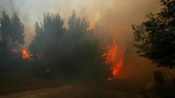 Оставка в Гърция заради опустошителните пожари 