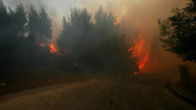 В Гърция е обявено най-високото ниво за опасност от пожари 