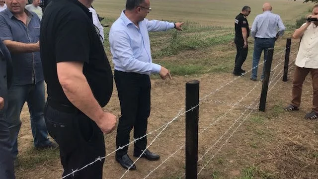 Шефът на Агенцията по горите подава оставка заради твърдения за конфликт на интереси