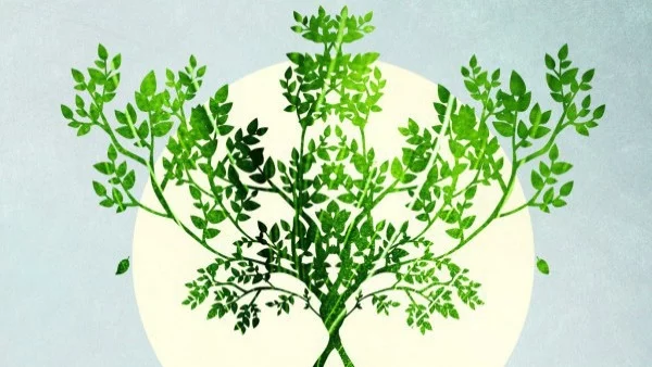 Как природата лекува