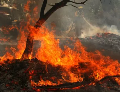 Пожарът край Банско е потушен - виновникът е човек