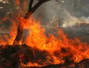 Заради пожарите: Обявиха бедствено положение в общините Харманли, Любимец и Свиленград