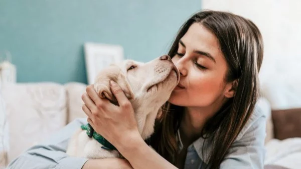 Кучетата не ни напускат, когато стане трудно