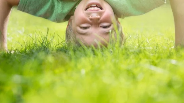 Детските очи не са място за изкуствено набит страх