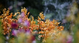 Времето през уикенда (18 - 19 май)