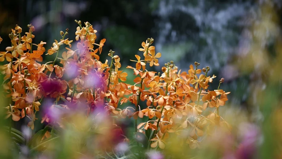 Времето през уикенда (18 - 19 май)