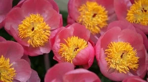 Прогноза за времето - 31 август (петък)