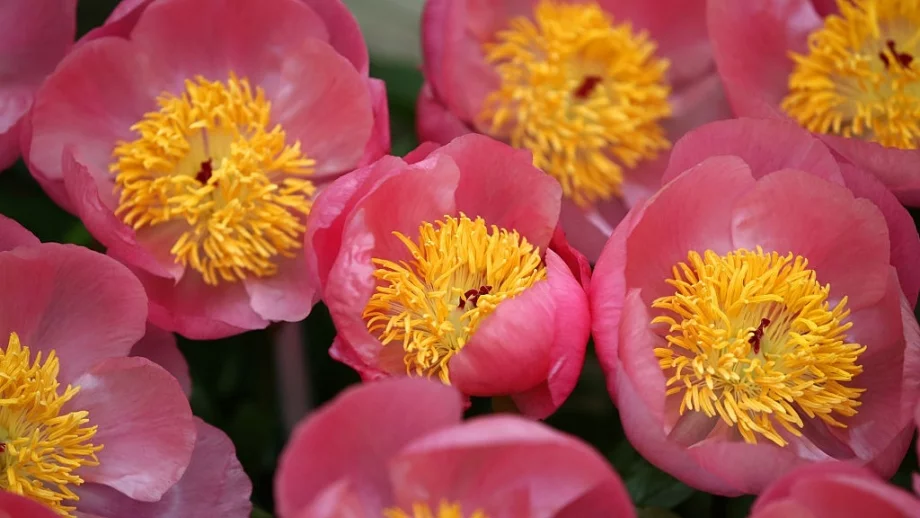 Прогноза за времето - 31 август (петък)