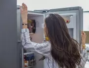 Хладилниците с фризер са едни от най-харчещите уреди - Как да избегнем големите сметки?