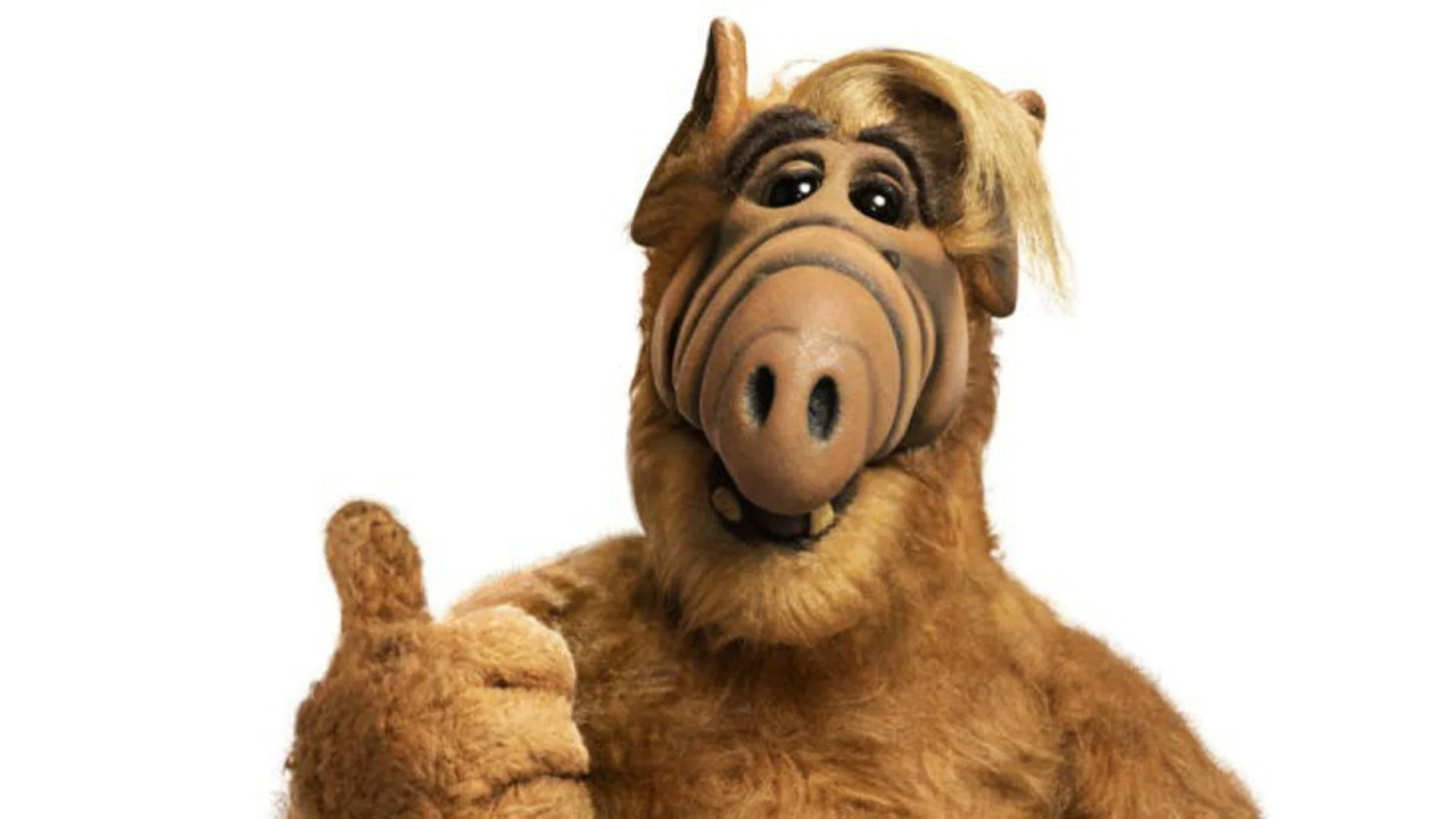 Велики и забавни цитати от сериала 