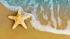 Притча за морската звезда, която трябва да прочетете
