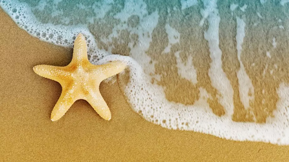 Притча за морската звезда, която трябва да прочетете