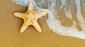 Ти нищо не можеш да промениш?!