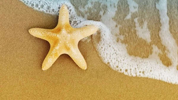 Ти нищо не можеш да промениш?!