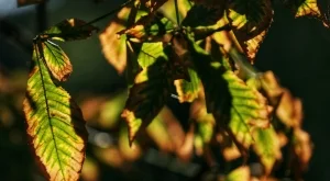 Какво ще бъде времето през почивните дни
