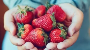 6 ползи за здравето от хапването на ягоди