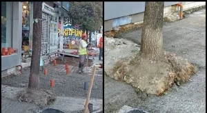  {{ otherArticle[0].article.title }} 