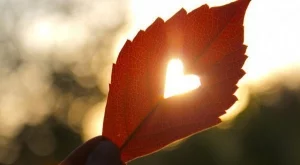 Много любов очаква една зодия на 19 октомври 